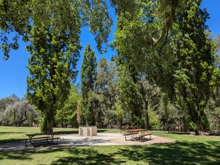 Cotter River picnic area. Shade, and tranquil walks along the river.