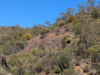 Tailings from surface workings of Paddys River Mine are visible from the Cotter cave lookout.