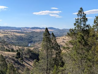 Gruner's vista.