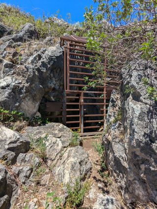 Entrance to Cotter cave (entry prohibited). It is (or was) a bent-wing bat habitat.
